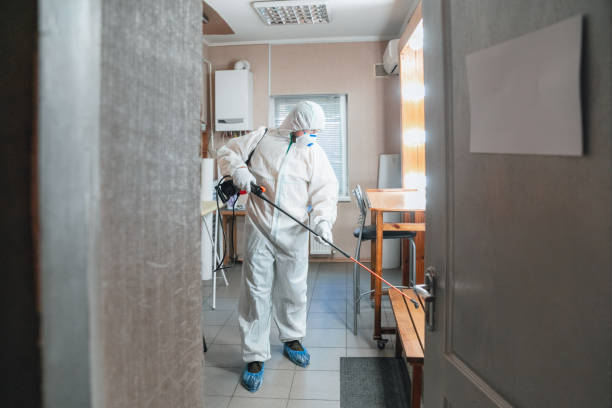 Best Air Quality Testing for Mold Spores  in Poplar Bluff, MO