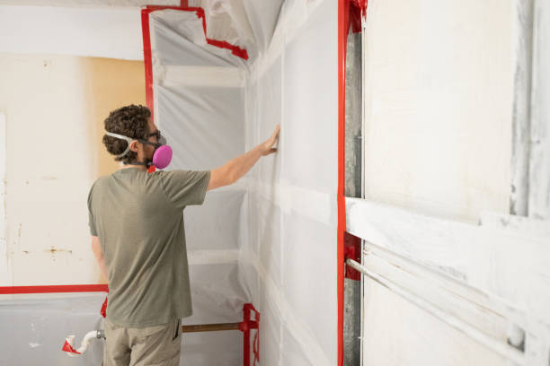 Best Basement Mold Removal  in Poplar Bluff, MO
